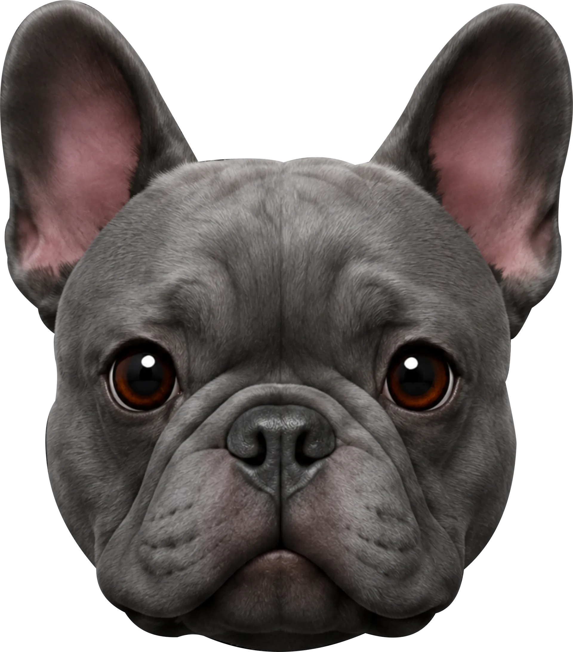 Animal Mode