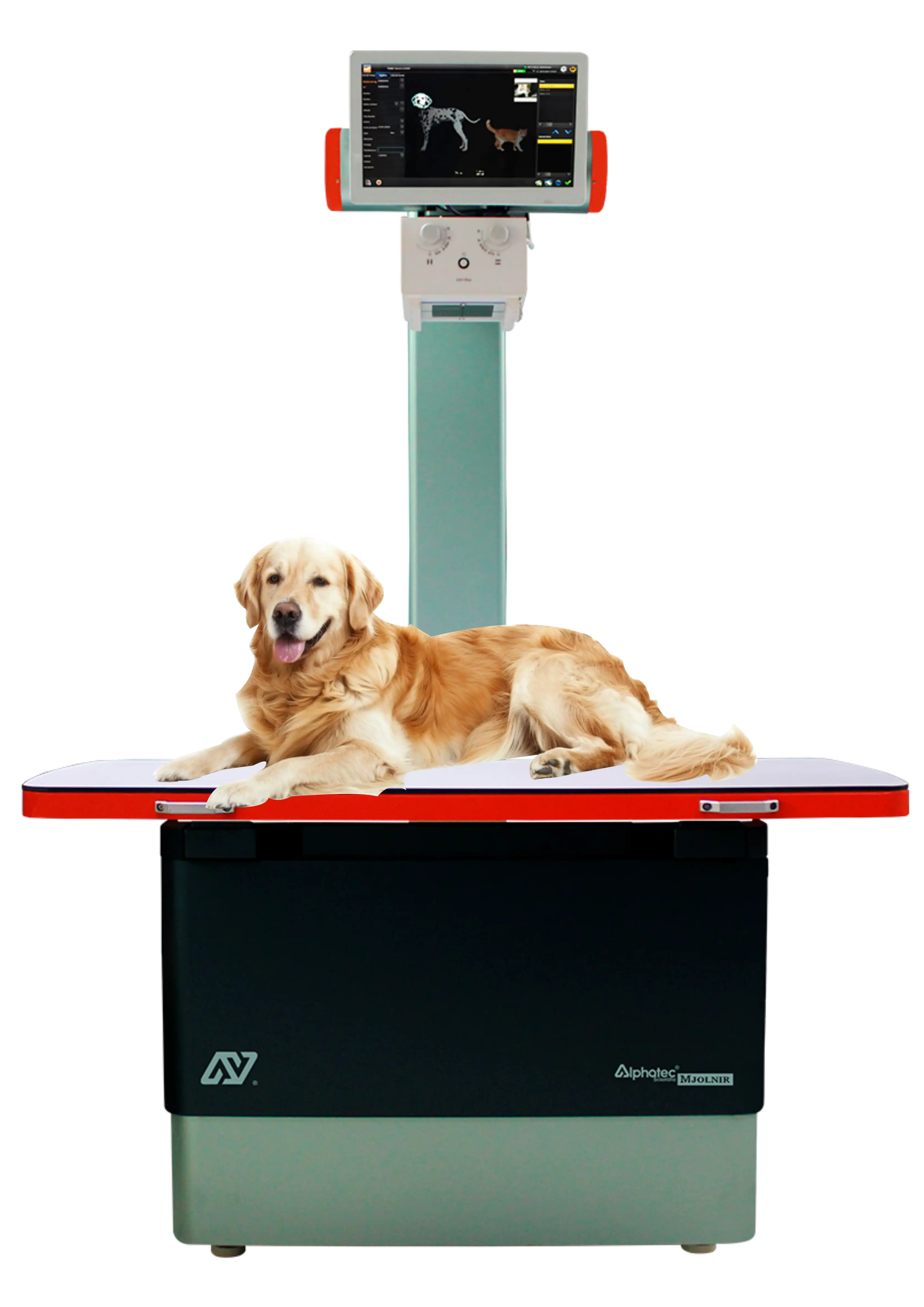 Mjolnir® Radiografía Digital Vet